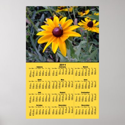 Black-Eyed Susan 2011 Calendar Poster by CeruleanSkyStudios