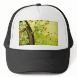 Black-Eyed Susan and Wagon Wheel Photo Mesh Hat