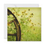 Black-Eyed Susan and Wagon Wheel Photo