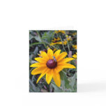 Black-Eyed Susan Blank Note Card