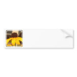 Black Eyed Susan Blossom Bumper Sticker