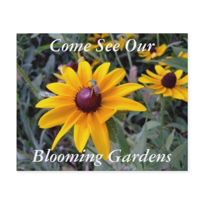 Black-Eyed Susan Botanical Garden Tours Flyer by CeruleanSkyStudios