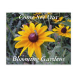 Black-Eyed Susan Botanical Garden Tours Flyer