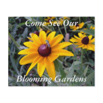 Black-Eyed Susan Botanical Garden Tours Flyer