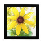 Black Eyed Susan Bouquet Gift Boxes