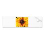Black Eyed Susan Bumper Stickers
