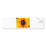 Black Eyed Susan Bumper Stickers