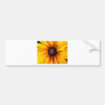 Black Eyed Susan Bumper Stickers