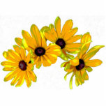 Black-eyed Susan Christmas Hanging Acrylic photo sculptures