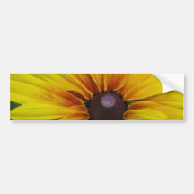 Black Eyed Susan Flower Bumper Sticker