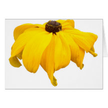 Black Eyed Susan Flower Card