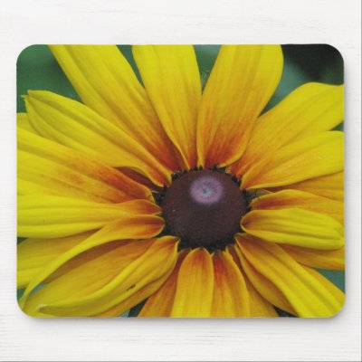 Black Eyed Susan Flower Mouse Pad by PerennialGardens