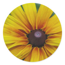 Black Eyed Susan Flower Sticker