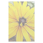 Black Eyed Susan - Gloriosa Daisy