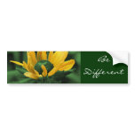 Black Eyed Susan Motivational Bumper Sticker bumper stickers