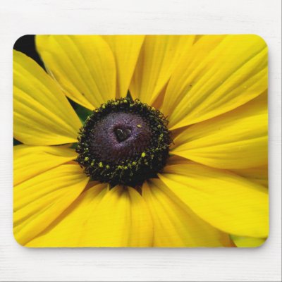 Black Eyed Susan mouse pad by SerenityFhotography