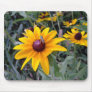 Black-Eyed Susan Mousepad