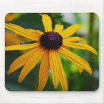 Black Eyed Susan Mouse Mats