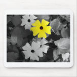 Black Eyed Susan Mousepads