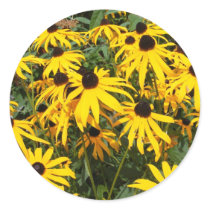 Black Eyed Susan ~ sticker