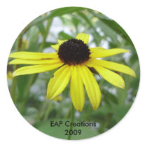 Black eyed susan sticker