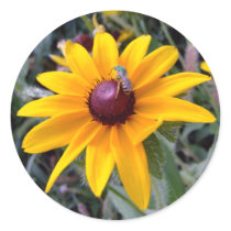 Black-Eyed Susan Stickers