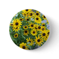 Black Eyed Susans Buttons