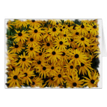 Black Eyed Susans Card