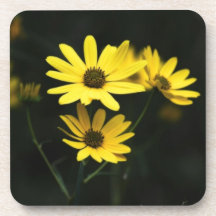 Black Eyed Susans Flowers Drink Coffee Coasters