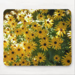 Black-eyed susans Mouse Pad