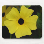 Black Eyed Susans mousepads