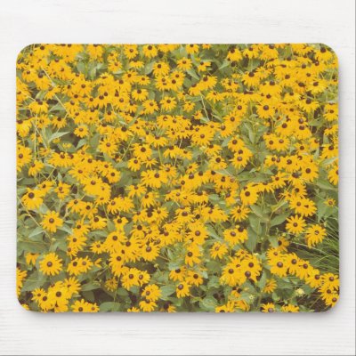 Black Eyed Susans Mousepad by Captain_Panama