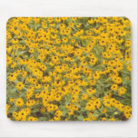 Black Eyed Susans Mousepad