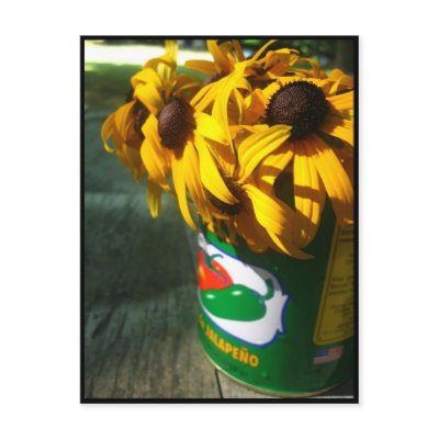 black eyed susans post cards by breelash