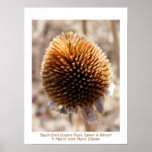 'Black-Eyed Susan's Pupil, Blown in Winter' Poster