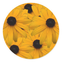 Black eyed susans sticker