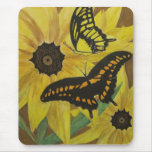 black eyed susan's with butterflys-watercolor mouse pads