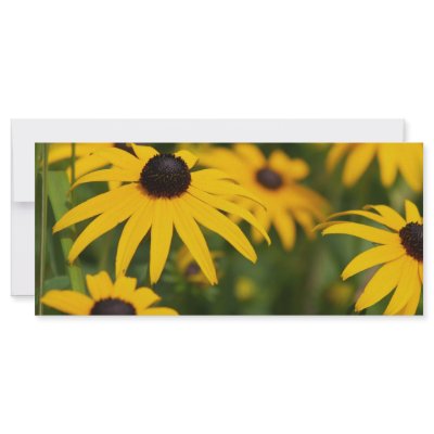 black eyed susies personalized rack card by camerabag