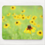Black Eyed Suzi's Mousepads