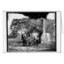 Black family at the Hermitage, Savannah, Ga. 1907 Cards