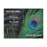 Black Feathers Save the Date Postcards