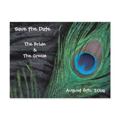 Black Feathers Save the Date Postcards by Peacocks