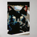 Black feral poster posters