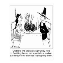 Black Fly Feast Post Card