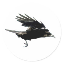 BLACK FLYING CROW Sticker Series