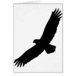 black flying eagle cards