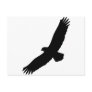 black flying eagle postcard