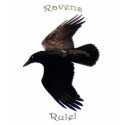 BLACK FLYING RAVEN Shirt