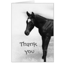 Black Foal Cards