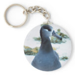 Black footed Albatross Keychains